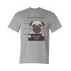 Unisex DryBlend® T-Shirt Thumbnail