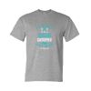 Unisex DryBlend® T-Shirt Thumbnail
